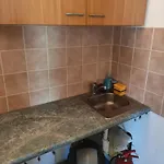 V Zastavce Horka u Stare Paky