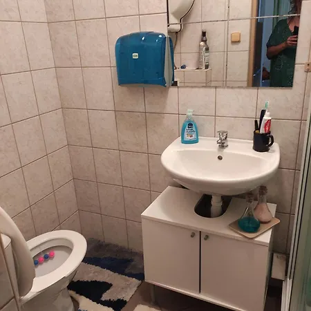 V Zastavce *